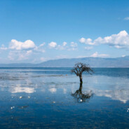 丢掉幻想 准备斗争