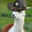 DesertLlama