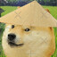 Catcruncher29