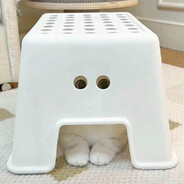 嘟嘟天天睡不醒