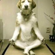 CQ_9527