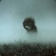 Ёжик в Тумане