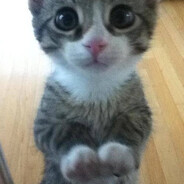 razesak - steam id 76561198901868583