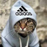 Scary Monsters and Nice Spirites