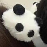 有辆八六上山了