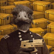 Emu - steam id 76561198120444161