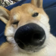 海的那边还是海吗