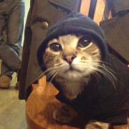 小陈想吃碎碎冰