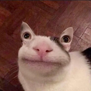 S'il vous plaît