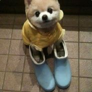QQQ
