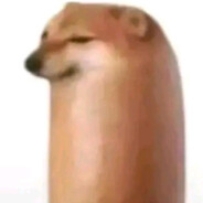 王源带包芙蓉王