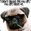 PUG LIFE