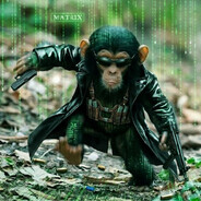 Avatar snapshot