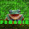 FROOGLE