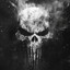 The Punisher