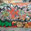 [swo] swozeR-