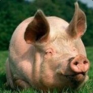 Поросенок Жорик