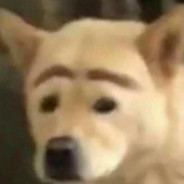 翻斗花园突破手牛爷爷