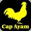 CapAyam