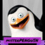 misterPENGUIN