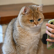 我好困好困好困