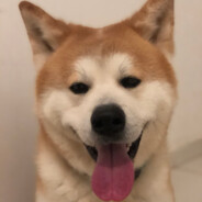 tch - steam id 76561198363422304