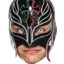 Rey Mysterio Masked