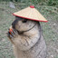 土拨鼠
