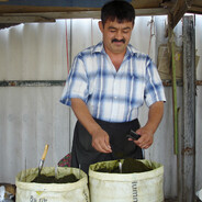 АйАЙАЙ НАСВАЙ