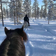 放下枪保护不了你，拿起枪你说我马的一批