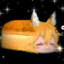 ɢᴜᴍʙᴀʟʟ