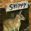 Skippy