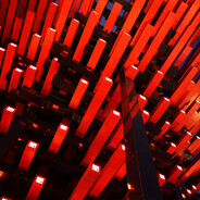 丧心病狂的大橙子