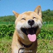 金刚葫芦娃13232