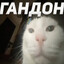 ГАНДОН's avatar
