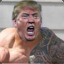 Donald The Rock Trump