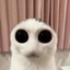 Jota