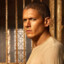 Michael Scofield