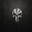 PUNISHER