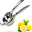 Lemon⁧⁧Squeezer3