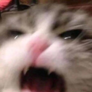 鸡西辣菜好吃不贵