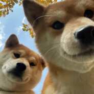 扎西得嘞~陈年老谈