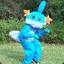 A Wild Mudkip