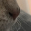 AAAAAAAAAAAAAAAA
