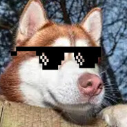 puccienzo Steam avatar