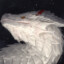 LaurDragon
