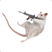 rat