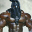 HarDickYOLO