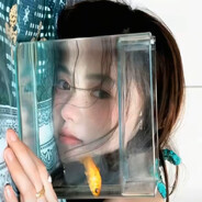 爱吃秋刀鱼的猫