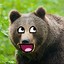 Bear Denn